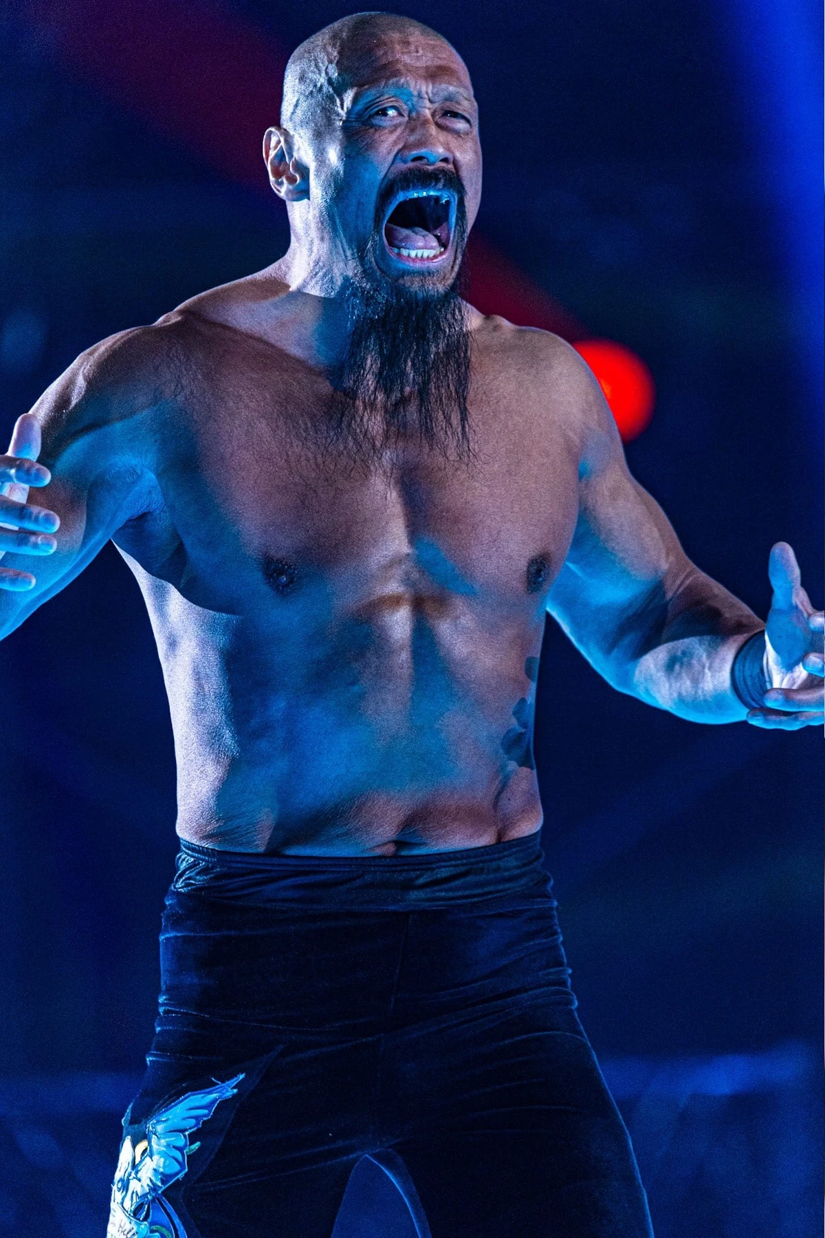 Takashi Iizuka | Puroresu System Wiki | Fandom