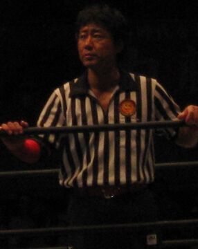 Red Shoes Unno Puroresu System Wiki Fandom