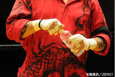 Satoshi Kojima | Puroresu System Wiki | Fandom