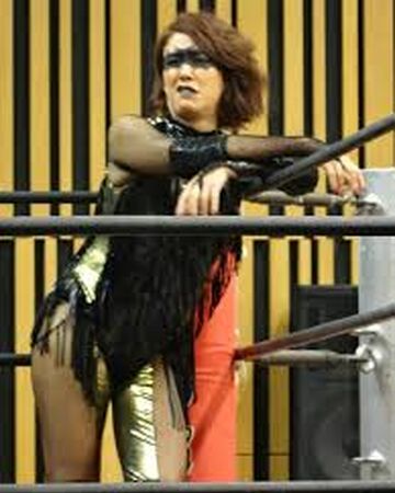 Lilico Puroresu System Wiki Fandom