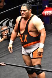 Jeff Cobb