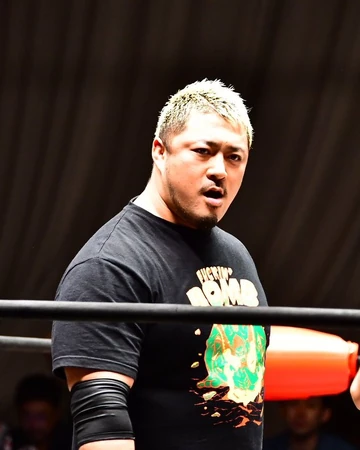puroresu system wiki fandom