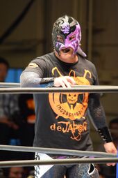 Bushi