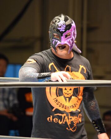 Bushi Puroresu System Wiki Fandom