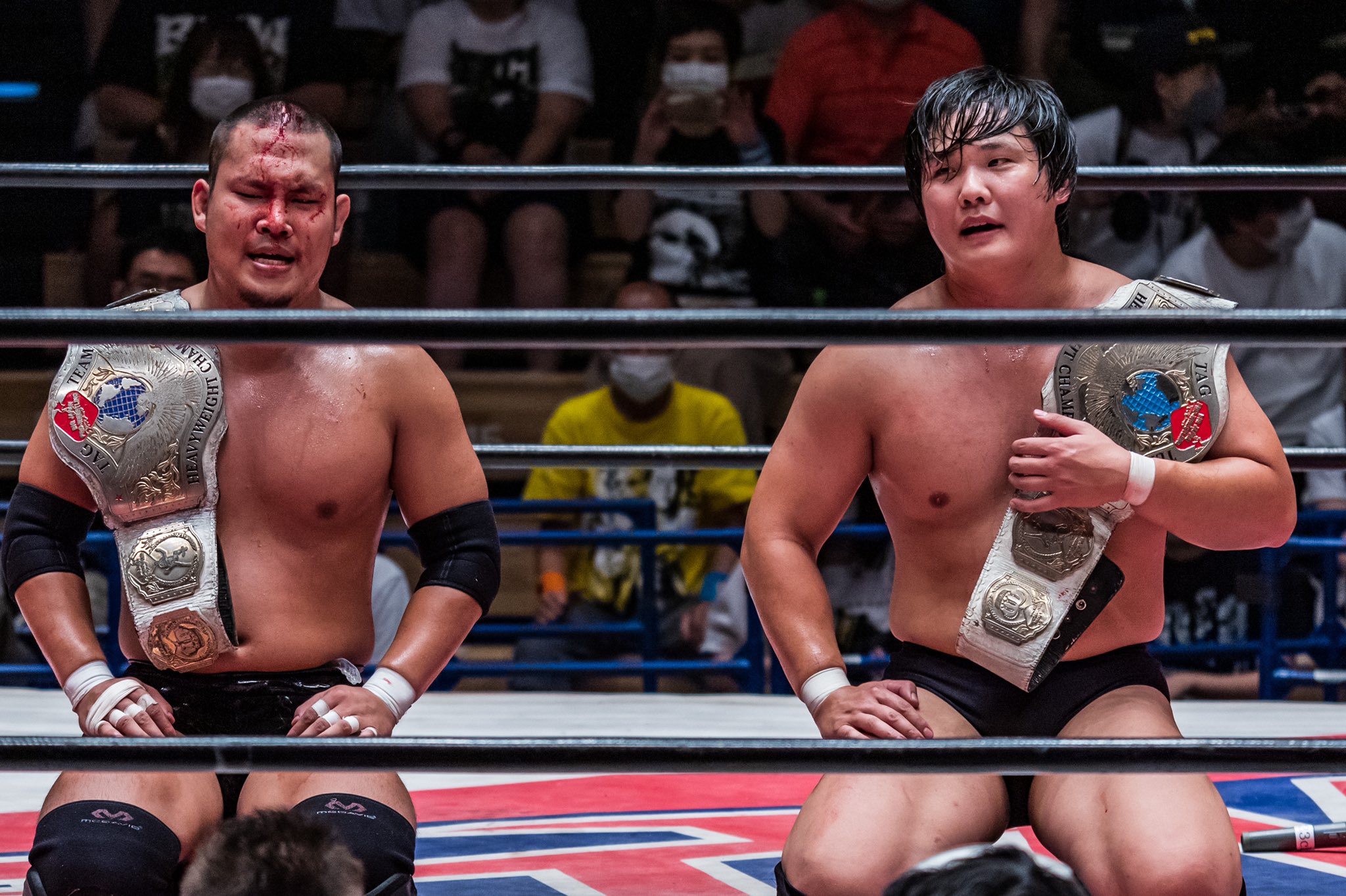 BJW Tag Team Championship | Puroresu System Wiki | Fandom