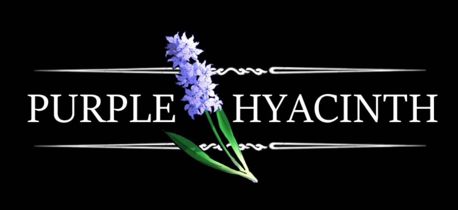 Purple hyacinth. Фиолетовый гиацинт манхва. Фиолетовый гиацинт Лорен и Кирен. Фиолетовый гиацинт комикс обои. Purple Hyacinth Episode 27: perplexing Paradox.