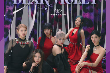Amazon.co.jp: K-pop Purple Kiss Dosie パープルキスのドシの