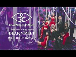 Dear Violet | PURPLE K!SS Wiki | Fandom