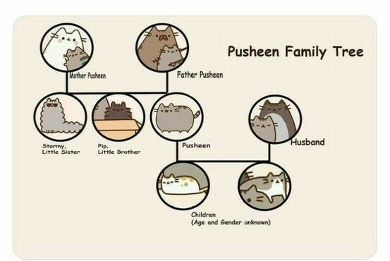 Pusheen - Wikipedia
