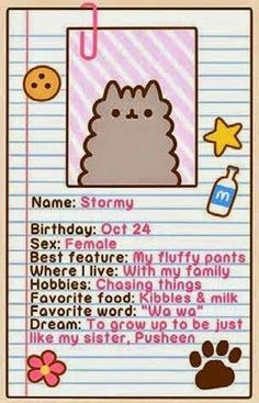 Stormy the hot sale cat pusheen