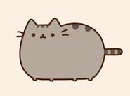 Pusheen!