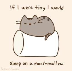 If I Were Tiny | Pusheenthecat Wiki | Fandom