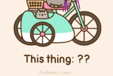 Pusheen brother pip deals