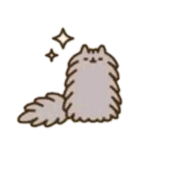 Pusheen cat and stormy shop