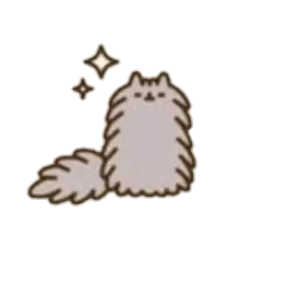 stormy pusheen real cat