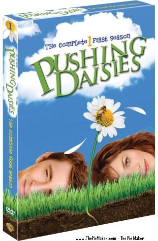 Pushing Daisies: The Complete First Season DVD | Pushing Daisies Wiki |  Fandom