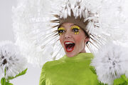 Pushing-daisies26