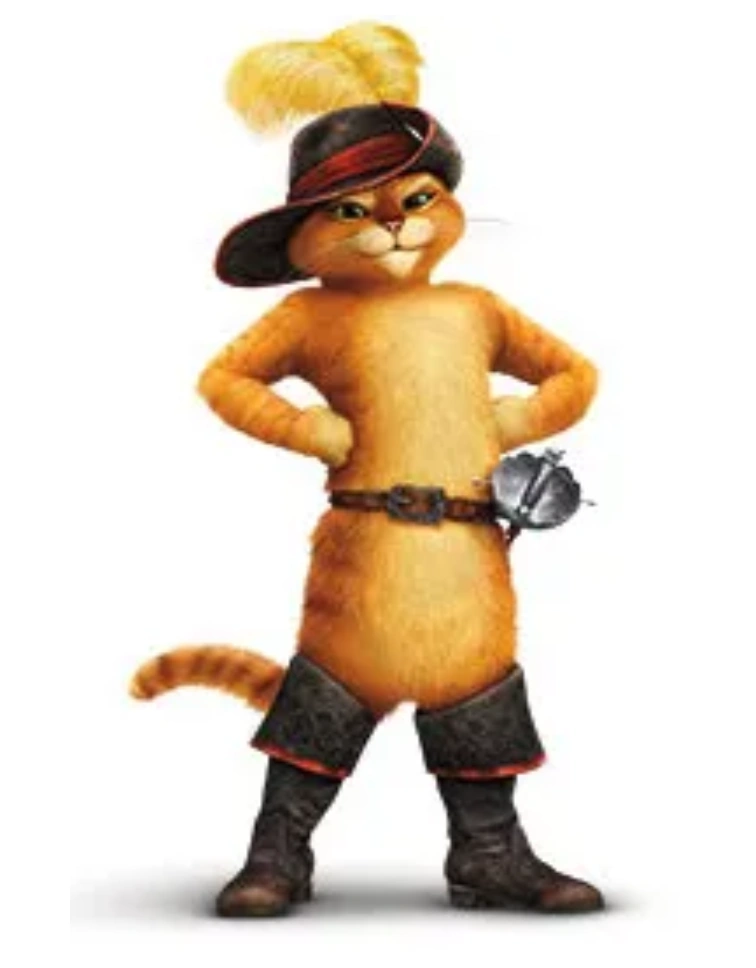 Кот сапогах