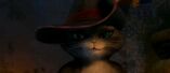 Puss-in-boots-kitty-wears-puss'-hat-2011