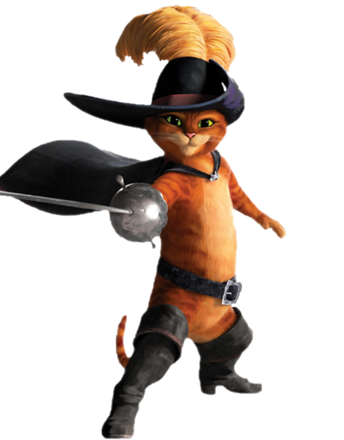 Puss in Boots' boots | The Adventures of Puss in Boots Wiki | Fandom
