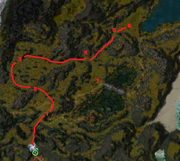 Newwteamrun.png