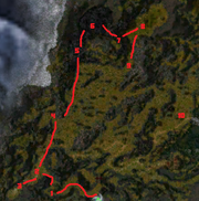 Newyteamrun.png