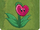 Heart Leaf