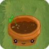 Flower Pot