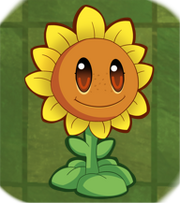 Sunflower Icon Natures