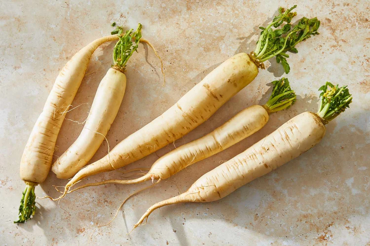 Daikon | Plants vs. Zombies Character Creator Wiki | Fandom