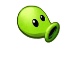 a Peashooter’s bald head