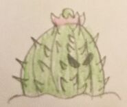 Lob Cacti