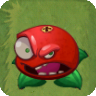 Berry Angry2