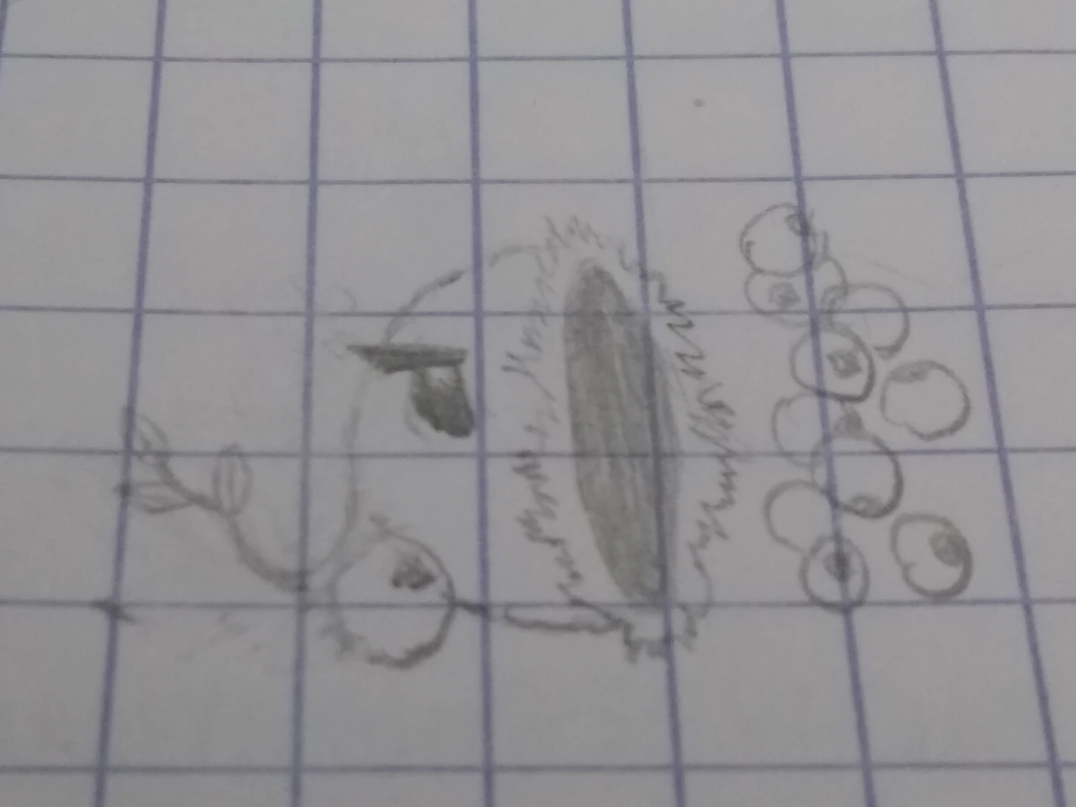 Cranberry blaster Plants vs. Zombies Character Creator Wiki Fandom