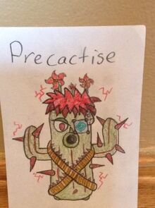 Precactise-0.jpeg