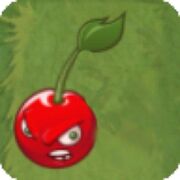 Single Cherry Bomb2.jpg