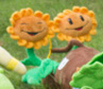 Twin Sunflower, Plants vs. Zombies Wiki