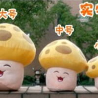 sun shroom plush