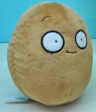 Wall nut plush shop