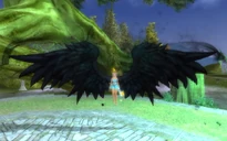 Ominous Raven