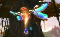 Spellbound Dragonfly