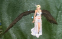 Eagle's Wings