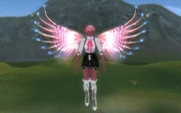 Solemn Feathers