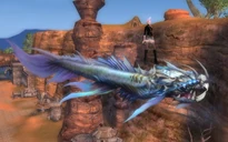 Dracocuda