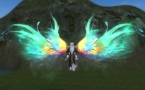 Luminous Petal