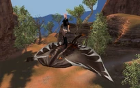 Skymanta Shade