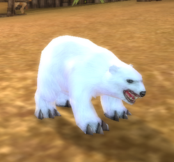 Shaodu Cub
