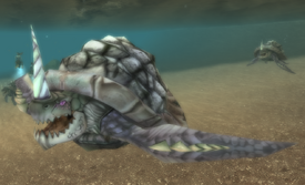 Tortoise is amphibian hot sale