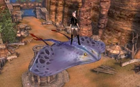 Spotted Skymanta