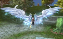 Silver Butterfly